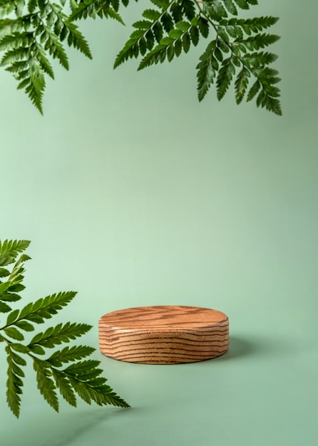 Houten podium om cosmetische producten met varenbladeren op groene achtergrond te tonen. Moderne stilleven.