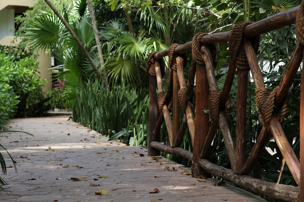 Houten reling en prachtige exotische planten groeien in tropische jungle op zonnige dag