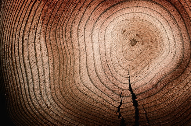 Houten ringen met scheuren, natuurlijke achtergrond