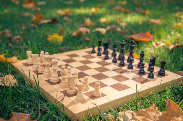 Houten schaakbord en schaakstukken op een met gras begroeide grond bedekt met droge gele bladeren in het stadspark. Focus op witte stukken.
