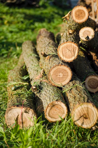 Houten stammen kappen bomen