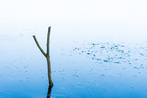 Houten standaard voor een hengel in de rivier. zelfgemaakte standaard in de vorm van een katapult