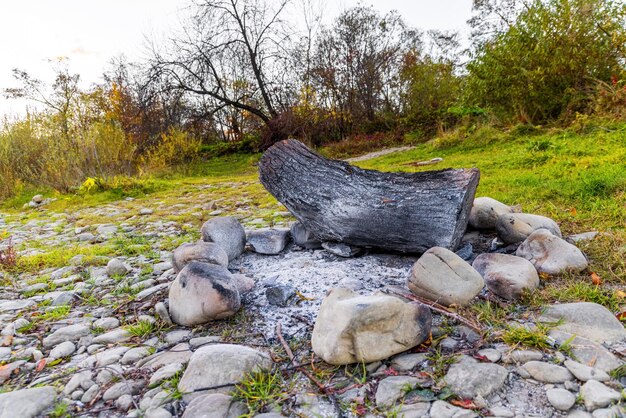 Houten stronk ligt op rotsen op riviersteen gedroogde bodem tegen hoge klif met weelderige terracotta en gele bomen onder bewolkte hemel in de herfst