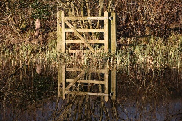 Foto houten structuur in gras