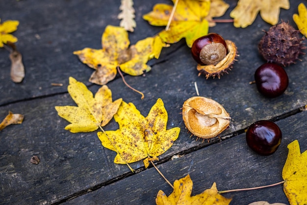 Houten tafel en laat kastanjes op de achtergrond wazig bokeh herfst. Abstracte plat lag achtergrond