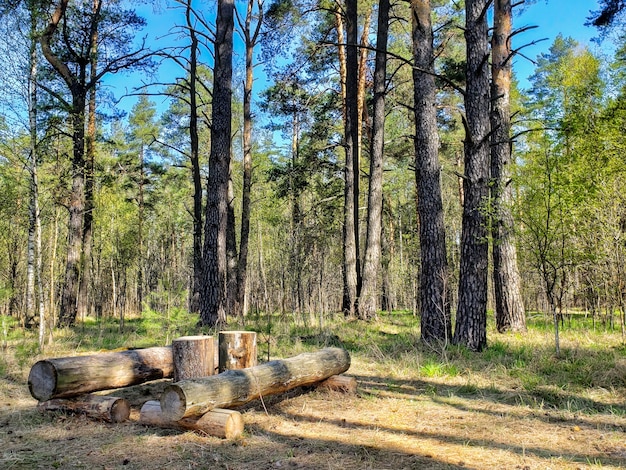 Houten tafel in het bos