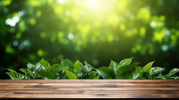 houten tafel met groene achtergrond stock foto van houten tafel met groene achtergrond met bladeren plan