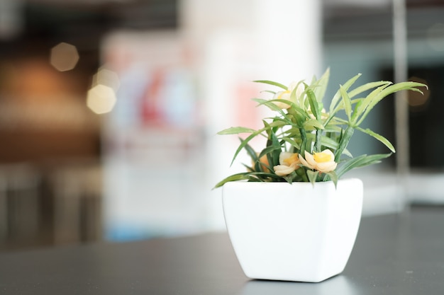 Houten tafel met plant.