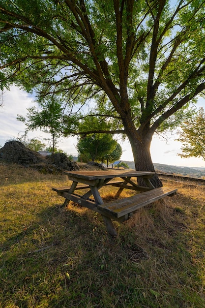 Houten tafel met stoelen onder de boom in het park