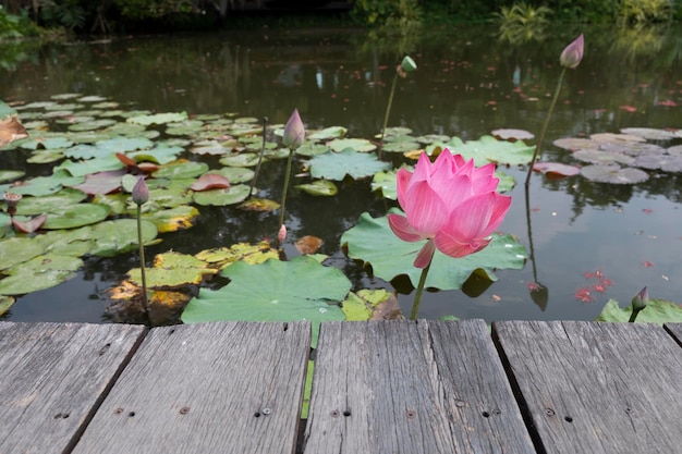 Houten tafel op de gang lotus vijver achtergrond