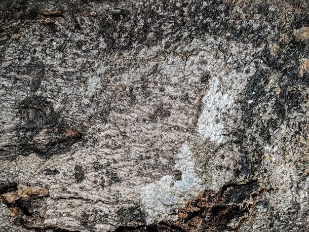 Houten textuur achtergrondoppervlakte oud natuurlijk patroon