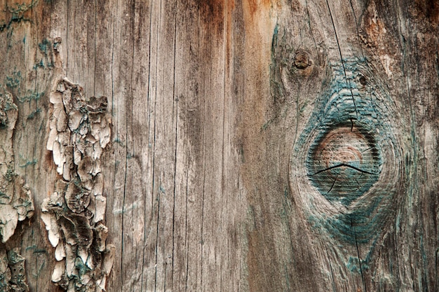 Houten textuurabstractie met smaragdgroene verf