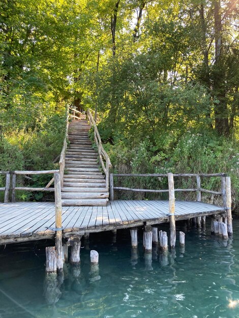 Foto houten trap tussen de bomen aan het water