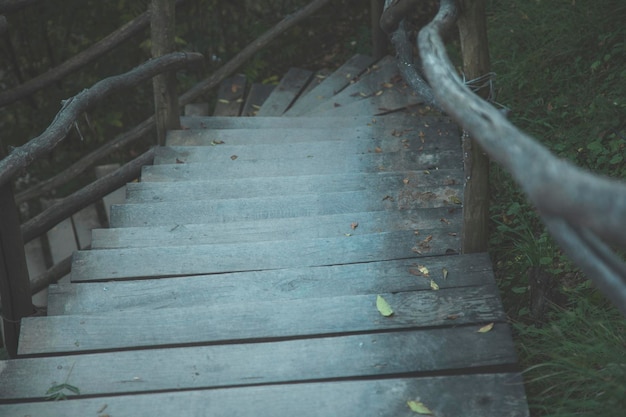 Houten trappen in de natuur