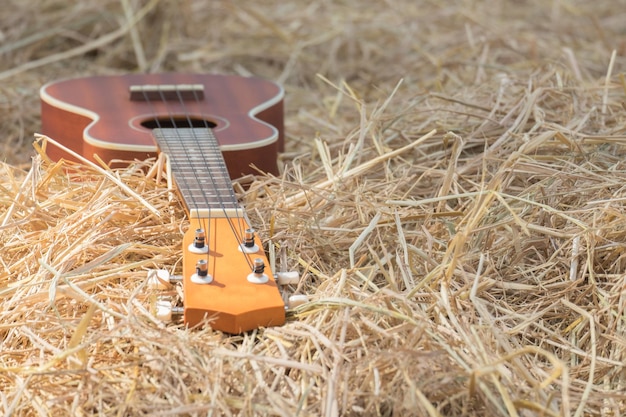 Foto houten ukulele op stro