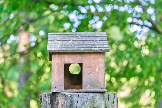 Houten vogelhuisje in de vorm van een huis met vage bomenachtergrond