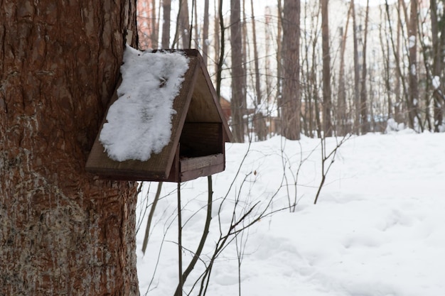 houten vogelhuisje in winterbos