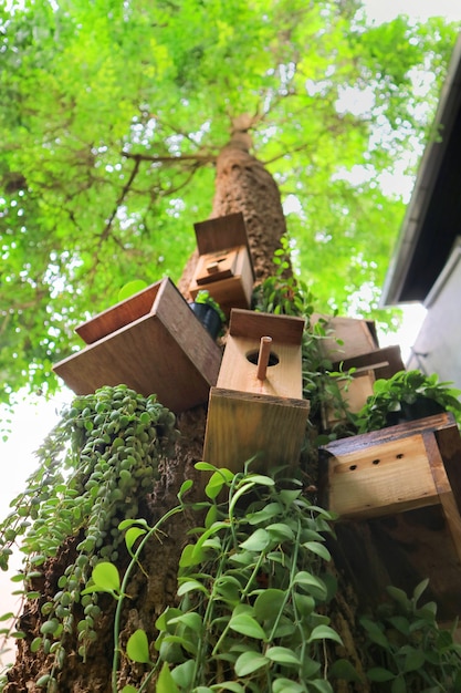 Houten vogelhuisjes