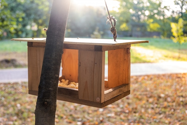 Houten vogelvoederhuis op een boom in de herfstpark. Dieren in het wild zorgconcept.