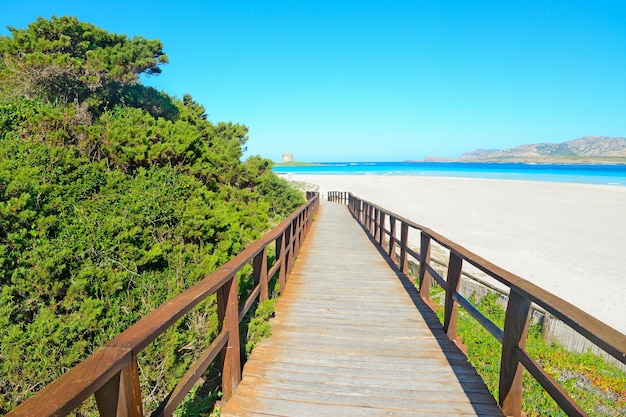 Houten wandelpad naar het strand in Sardinië, Italië