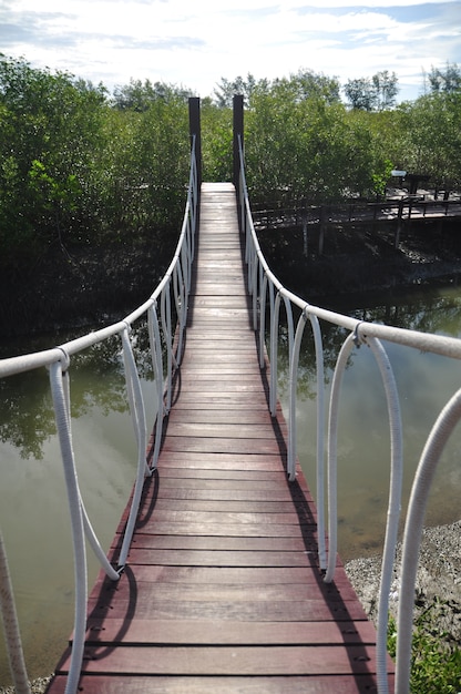 Houten wegmanier onder het Mangrove-bos, Thailand