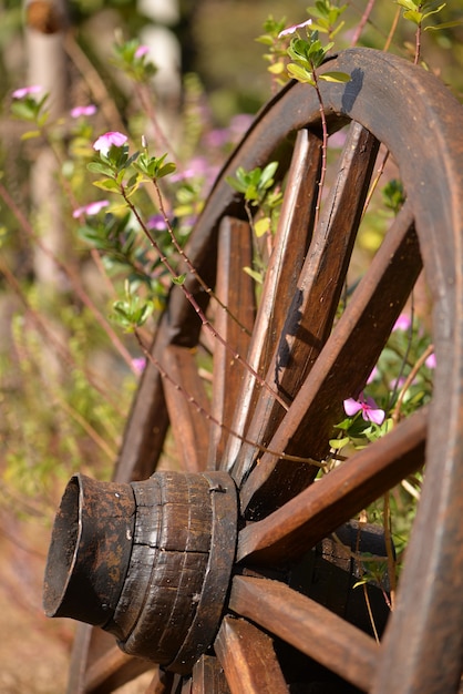 Houten wiel met ijzeren rand en bloemen.