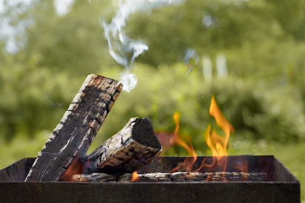 Houtgestookt in een grill in de natuur.