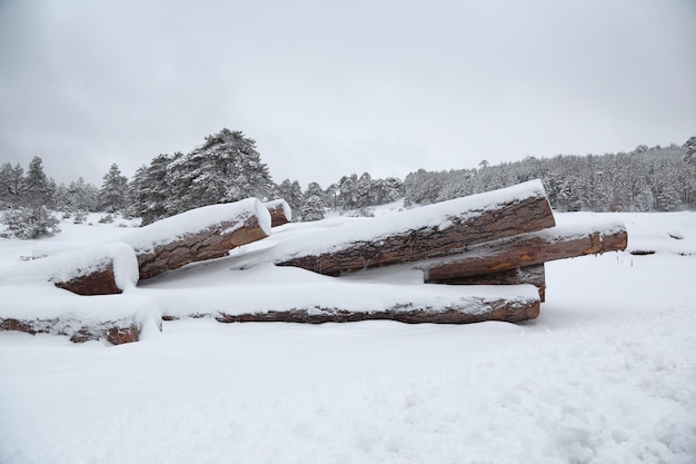 Houtstapels in de sneeuw met bos op de achtergrond