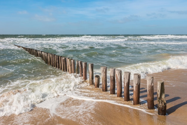 Houtstapels op het strand in Domburg / Nederland