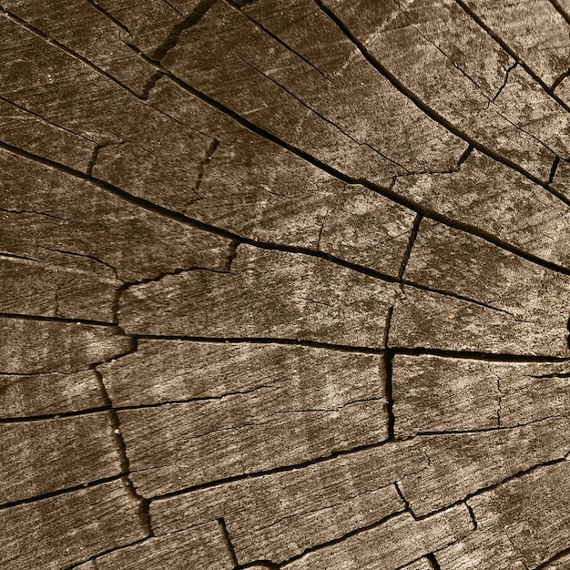 Foto houtstructuur achtergrond bruin gekrast houten snijplank