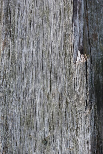 Houtstructuur achtergrond, houten planken in naiural grijze kleur. Hoge kwaliteit foto