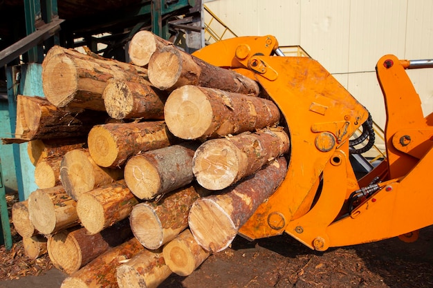Houtverwerkende industrie Lader met stammen Industriële houtverwerking