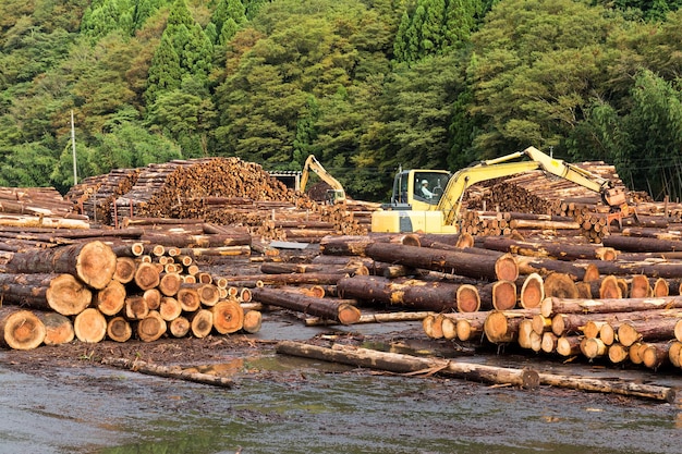 Houtwerf met gestapeld hout