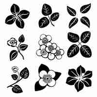 Photo hoya waxplant waxvine waxflower pot plant icon set hoya plant black white design abstract hoya symbol