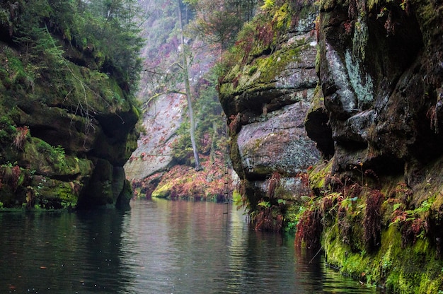 Hrensko national park, Bohemian Switzerland in Czech republic, Beautiful nature .