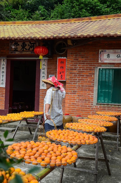 Hsinchu Taiwan okt 10 2018 Proces van het maken van gedroogde persimmon tijdens de winderige herfst in Hsinpu met Chinese naam van de fabriek Wei Wei Gia