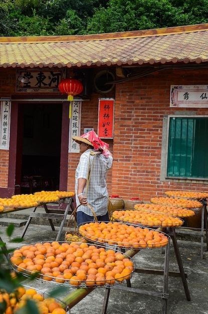 Hsinchu taiwan okt 10 2018 proces van het maken van gedroogde persimmon tijdens de winderige herfst in hsinpu met chinese naam van de fabriek wei wei gia