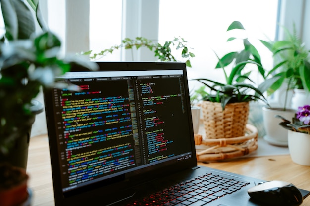 Код html на экране ноутбука, домашние зеленые растения на столе, уютный рабочий кабинет