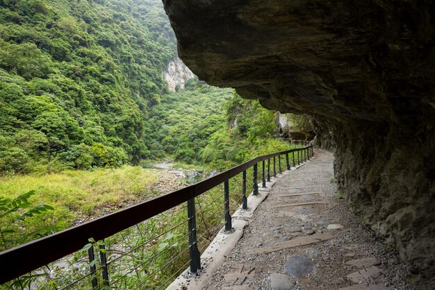 Photo hualien taroko shakadang trail in the forest