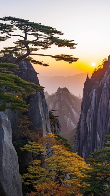 huangshan mountain foggy background