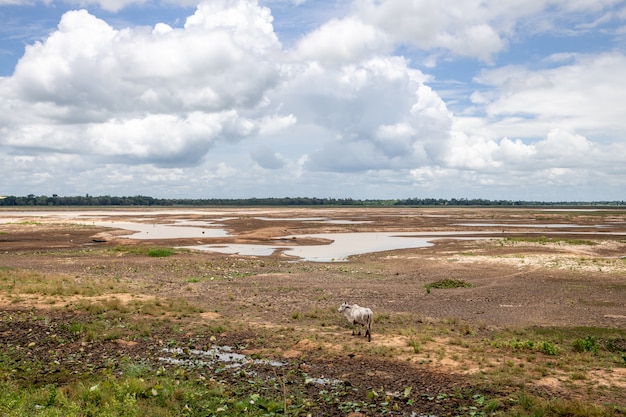 Huay Saneng reservoir