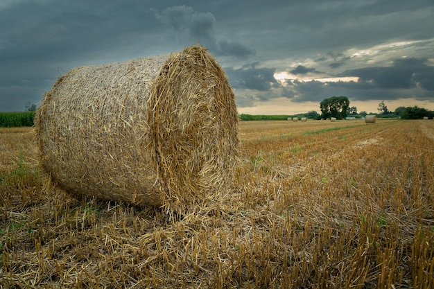 Huge bale of hay in the field and cloudy sky