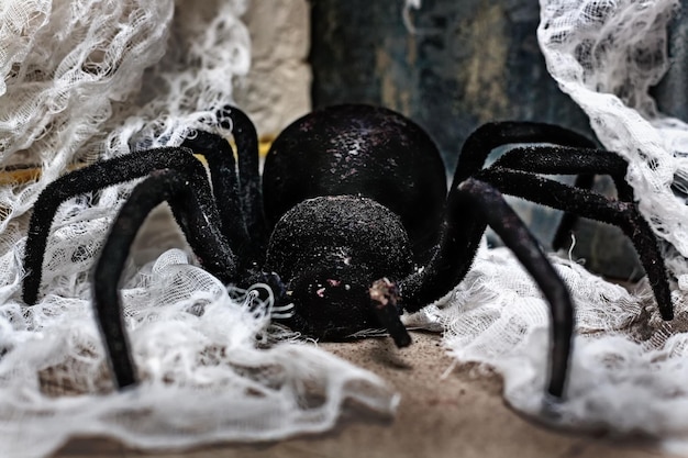 Photo a huge black tarantula or spider is crawling on the floor scary toy for halloween