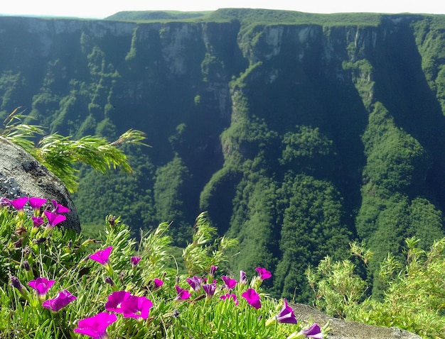 ブラジル リオグランデ ド スル州の南にある巨大な峡谷