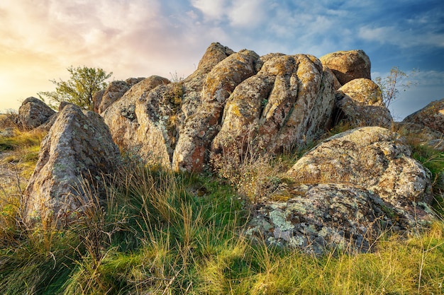 Огромные залежи старых каменных минералов, покрытых растительностью, на лугу, залитом теплым солнцем в живописной Украине и ее прекрасной природе.