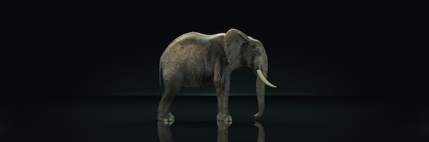 Enorme elefante nel rendering 3d di sfondo scuro