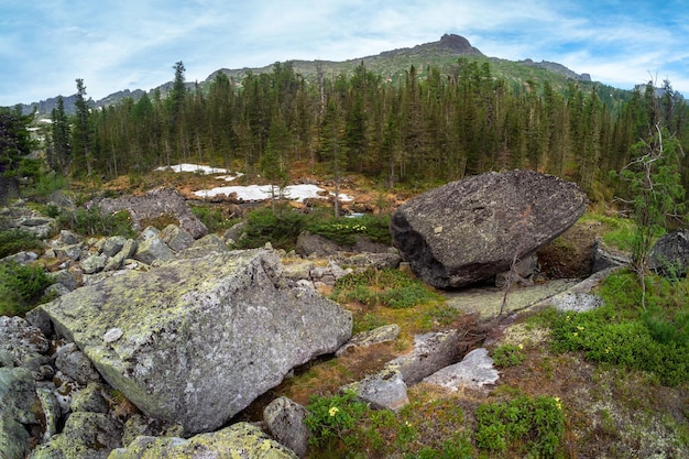 Huge granite boulders are scattered randomly Western Sayans kurumnik stones cobblestones moss with a unique landscape Landscape photography of stone river