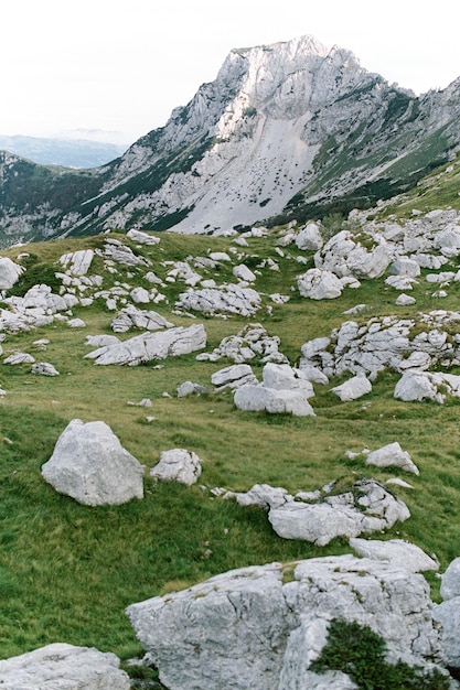 Enormi massi grigi sul prato ai piedi delle montagne