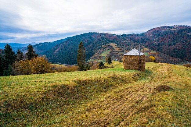 Photo a huge haystack covered with a film from the rain on a green wet meadow in not very good cloudy weather