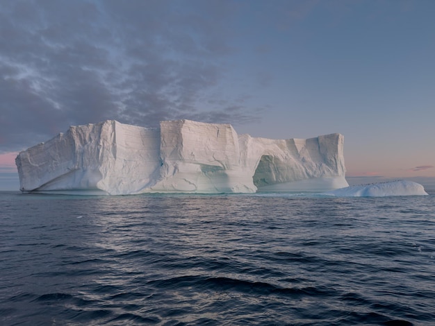 巨大な氷河が南極の海岸に 漂流しています